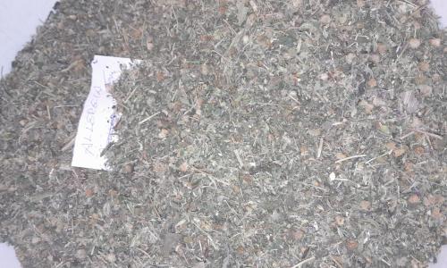 Allergiára teafű keverék