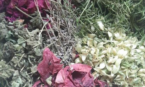 Alvást segítő teafű keverék 1