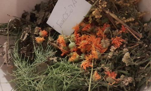 Nyugodt alváshoz gyógynövény szárítmányok