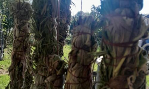 Gyógynövényes füstölők