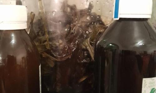 Lándzsás utifű szirup  250 ml