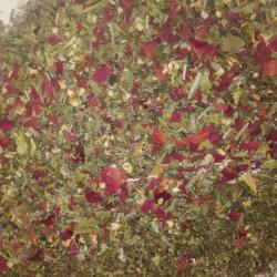 Alvást segítő teafű keverék 1