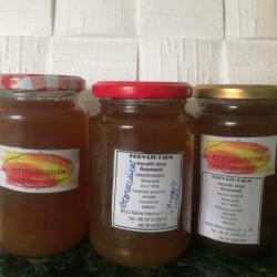 Gyermekláncfű virág