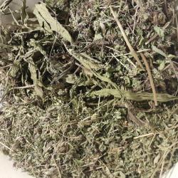 Immunerősítő szárítmányok gyermekeknek