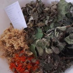 Köszvény - reuma gyógynövény szárítmányok