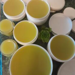 Kövirózsa tégelyben