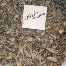 Légút tisztító 1